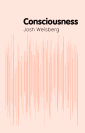 E-book, Consciousness, Polity Press