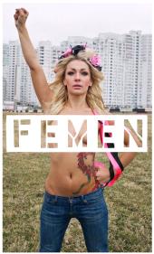 E-book, Femen, Polity Press