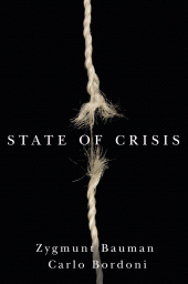 E-book, State of Crisis, Polity Press