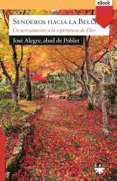 eBook, Senderos hacia la belleza, PPC Editorial