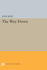 E-book, The Way Down, Princeton University Press