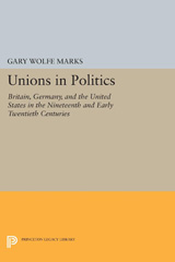 E-book, Unions in Politics : Britain, Germany, and the United States in the Nineteenth and Early Twentieth Centuries, Princeton University Press