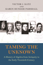 E-book, Taming the Unknown : A History of Algebra from Antiquity to the Early Twentieth Century, Princeton University Press