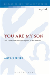 E-book, You Are My Son, T&T Clark