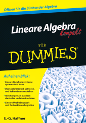 E-book, Lineare Algebra kompakt für Dummies, Wiley-VCH