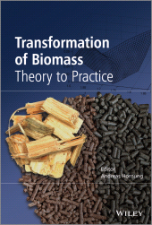 eBook, Transformation of Biomass : Theory to Practice, John Wiley & Sons