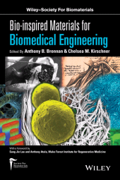 E-book, Bio-inspired Materials for Biomedical Engineering, John Wiley & Sons
