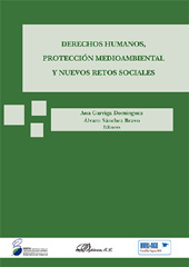 E-book, Derechos humanos, protección medioambiental y nuevos retos sociales, Dykinson