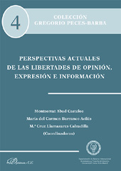 E-book, Perspectivas actuales de las libertades de opinión, expresión e información, Dykinson
