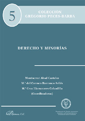 eBook, Derecho y minorías, Dykinson