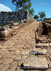 Article, Norba : la domus X nella sequenza stratigrafica e nelle sue parti, "L'Erma" di Bretschneider