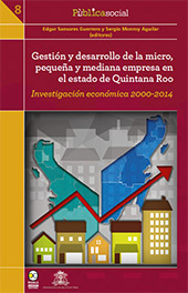 E-book, Gestión y desarrollo de la micro, pequeña y mediana empresa en el estado de Quintana Roo : investigación económica 2000-2014, Bonilla Artigas Editores