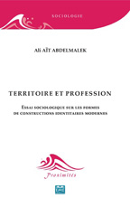 E-book, Territoire et profession : Essai sociologique sur les formes de constructions identitaires modernes, EME Editions