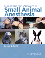 E-book, Questions and Answers in Small Animal Anesthesia, Blackwell