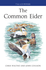 E-book, The Common Eider, Waltho, Chris, Bloomsbury Publishing
