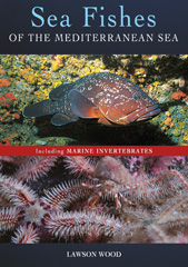 eBook, Sea Fishes Of The Mediterranean Including Marine Invertebrates, Bloomsbury Publishing