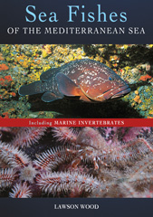 E-book, Sea Fishes Of The Mediterranean Including Marine Invertebrates, Bloomsbury Publishing