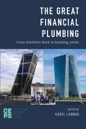 eBook, The Great Financial Plumbing : From Northern Rock to Banking Union, Center for European Policy Studies