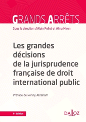 E-book, Les grandes décisions de la jurisprudence française de DIPublic, Éditions Dalloz