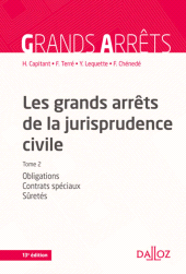 E-book, Les grands arrêts de la jurisprudence civile, Éditions Dalloz