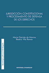 E-book, Jurisdicción constitucional y el procedimiento de defensa de los derechos, Dykinson