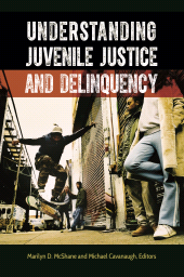 E-book, Understanding Juvenile Justice and Delinquency, Praeger Publisher