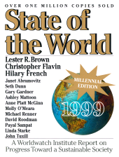 E-book, State of the World 1999 : Looking Toward a Sustainable 21st Century, Princeton University Press