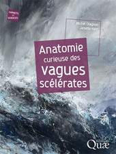E-book, Anatomie curieuse des vagues scélérates, Éditions Quae