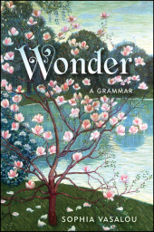 eBook, Wonder : A Grammar, SUNY Press - State University of New York Press