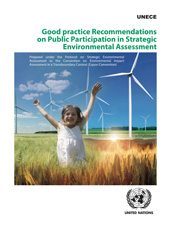 eBook, Good Practice Recommendations on Public Participation in Strategic Environmental Assessment : Prepared under the Protocol on Strategic Environmental Assessment to the Convention on Environmental Impact Assessment in a Transboundary Context (Espoo Convention), United Nations Publications