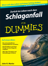 E-book, Zurück ins Leben nach dem Schlaganfall für Dummies, Wiley-VCH