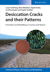 eBook, Desiccation Cracks and their Patterns : Formation and Modelling in Science and Nature, Wiley-VCH