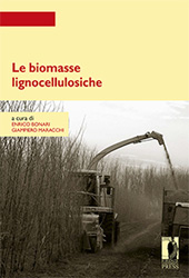 E-book, Le biomasse lignocellulosiche, Firenze University Press