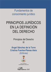 E-book, Principios jurídicos en la definición del derecho : principios del derecho : III, Dykinson