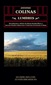 E-book, La asistencia jurídica pública al estado y su influencia en la actuación del poder ejecutivo, Ediciones Universidad de Salamanca