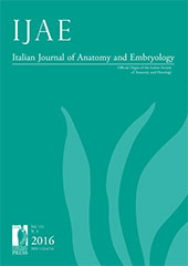Heft, IJAE : Italian Journal of Anatomy and Embryology : 121, 3, 2016, Firenze University Press