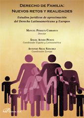 E-book, Derecho de familia : nuevos retos y realidades : estudios jurídicos de aproximación del Derecho Latinoamericano y Europeo, Dykinson