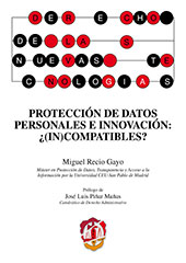 E-book, Protección de datos personales e innovación : ¿(in)compatibles?, Recio Gayo, Miguel, Reus