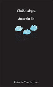 E-book, Amor sin fin, Visor Libros