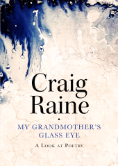 E-book, My Grandmother's Glass Eye : A Look at Poetry, Atlantic Books