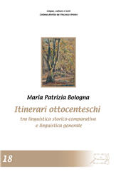 eBook, Itinerari ottocenteschi tra linguistica storico-comparativa e linguistica generale, Bologna, Maria Patrizia, Il Calamo