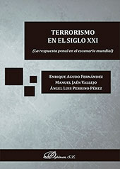 E-book, Terrorismo en el siglo XXI : la respuesta penal en el escenario mundial, Agudo Fernández, Enrique, Dykinson