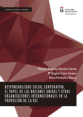 E-book, Responsabilidad social corporativa : el papel de las Naciones Unidas y otras organizaciones internacionales en la promoción de la RSC, Dykinson