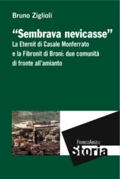 E-book, Sembrava nevicasse : la Eternit di Casale Monferrato e la Fibronit di Broni : due comunità di fronte all'amianto, Ziglioli, Bruno, Franco Angeli