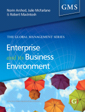 E-book, Enterprise and its Business Environment, Goodfellow Publishers