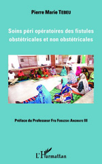 E-book, Soins péri opératoires des fistules obstétricales et non obstétricales, L'Harmattan