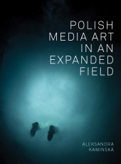 E-book, Polish Media Art in an Expanded Field, Intellect