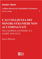 E-book, L'accoglienza dei minori stranieri non accompagnati : tra norma giuridica e agire sociale, Key