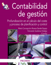 E-book, Contabilidad de gestión : Profundización en el cálculo del coste y proceso de planificación y control, Ediciones Pirámide