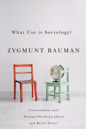 eBook, What Use is Sociology? : Conversations with Michael Hviid Jacobsen and Keith Tester, Polity Press